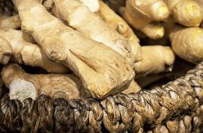 basket with a bunch of ginger