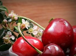 tasty red cherries and flowers