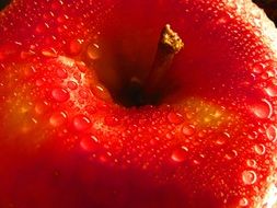 washed red apple with water droplets on it