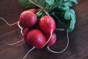 Radishes Vegetable