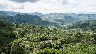 green hillside