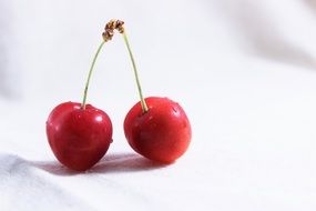 two cherries on white