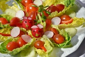 green salad with tomatoes and radish