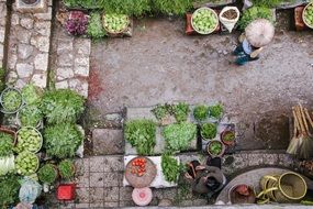 Market green Vegetables