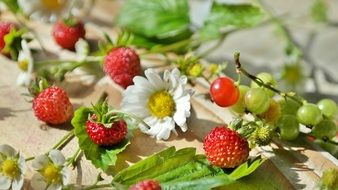 ripe wild strawberries