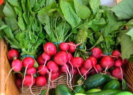 lot of fresh radish in a basket