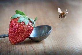 bee over strawberries