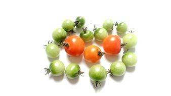 Tomato Red and Green