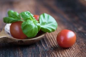 two small tomatoes with herbs in a spoon close-up on blurred background