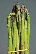 bunch of green asparagus