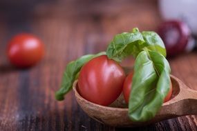 Two red tomatoes with herbs in a spoon