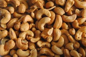 salted cashews as a snack