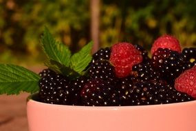 raspberries and blackberries in the plate