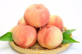 ripe peaches on a wicker plate