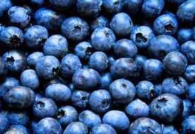 ripe Blueberries, background