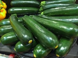 dainty Green Zucchini