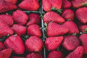 ripe beautiful strawberries in trays for sale