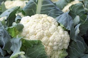 cauliflower in the market