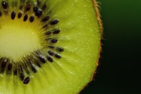 cut kiwi fruit, macro