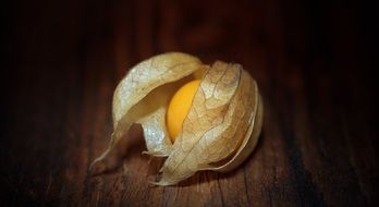 physalis is an emerald berry