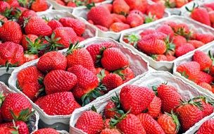 ripe Strawberries in boxes at market