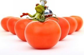 Tomatoes and frog clipart