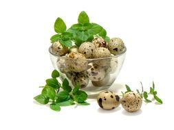 Quail eggs and leaves in the bowl