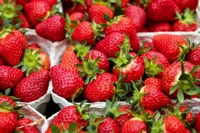 ÐÑÐ² strawberries in small white boxes