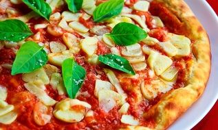 pizza with basil close-up