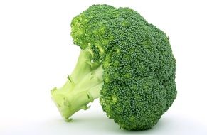 green broccoli on white background
