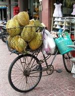 jackfruit in a bicycle basket