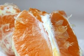 orange pulp