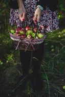 bright apples in a basket