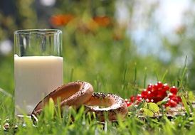 Milk in Glass and Bread