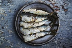 palatable Sardines Fish Plate