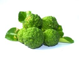 Bergamot Fruit Leaf Isolated