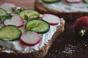 tasty Sandwich Cucumber Radish Yogurt