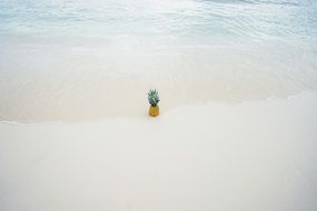 pineapple on the beach in the water