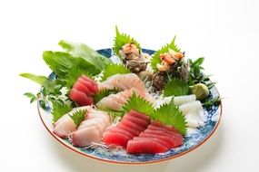 Japanese Roll Meal