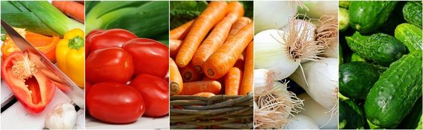 banner with fresh vegetables