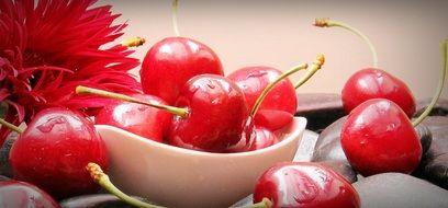 ripe red cherries on a plate