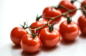 bunches of small red tomatoes