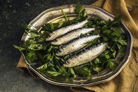 sardines on green leaves