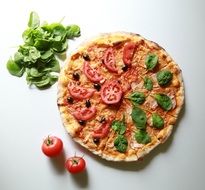 Picture of Italian Pizza