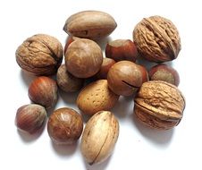 variety of nuts