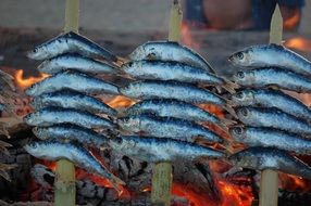 tasty and fresh Marbella fish