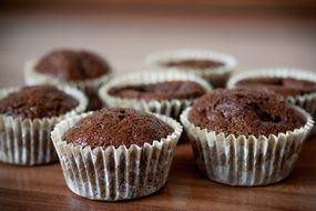 chocolate muffins in paper forms