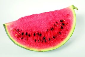 worm of ripe watermelon