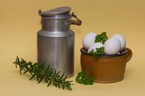 Milk can with fresh Eggs