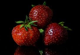 sweet fresh strawberries